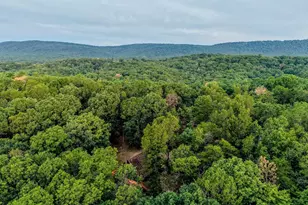 843 Cedar Run Ln, Great Cacapon, WV 25422 - Photo 52
