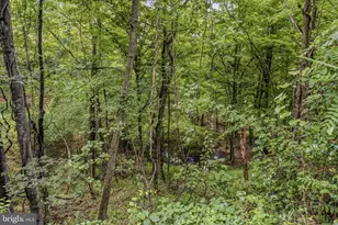 2712 Fairview Dr, Berkeley Springs, WV 25411 - Photo 82