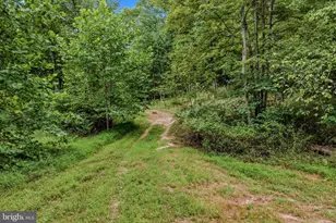 2712 Fairview Dr, Berkeley Springs, WV 25411 - Photo 92