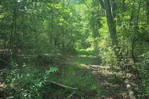 Terry's Rd, Berkeley Springs, WV 25411 - Photo 1