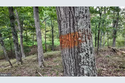 29 Acres Gaither Road, Great Cacapon, WV 25422 - Photo 22