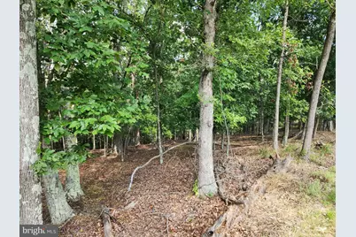 2.53 Acres Timber Ridge Road, Berkeley Springs, WV 25411 - Photo 2