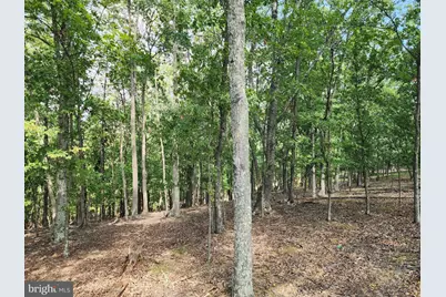 2.53 Acres Timber Ridge Road, Berkeley Springs, WV 25411 - Photo 10