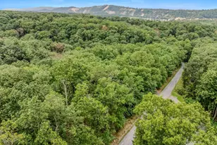 411 Little Creek Trail, Berkeley Springs, WV 25411 - Photo 40