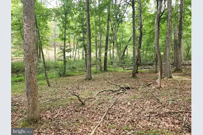 380 Conners Hollow Road, Great Cacapon, WV 25422 - Photo 38
