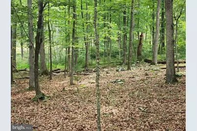 380 Conners Hollow Road, Great Cacapon, WV 25422 - Photo 54