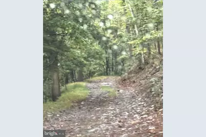 Denver Trail, Berkeley Springs, WV 25411 - Photo 28