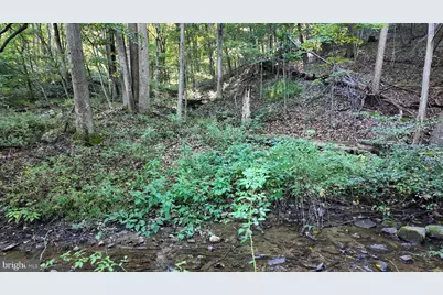 Cold Run Valley Road, Berkeley Springs, WV 25411 - Photo 42