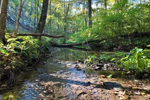 Cold Run Valley Rd, Berkeley Springs, WV 25411 - Photo 1