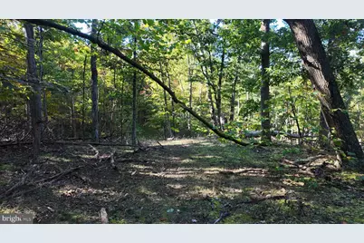 Cold Run Valley Road, Berkeley Springs, WV 25411 - Photo 50