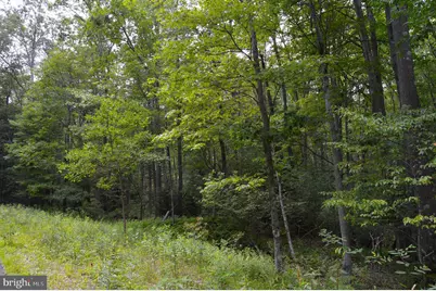 Lot 256 Azalea Ln, Terra Alta, WV 26764 - Photo 6