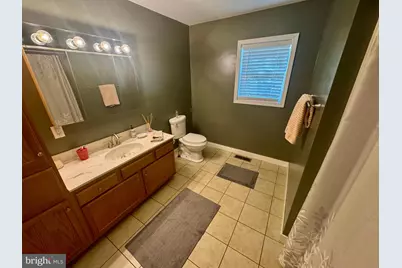 268 Wild Flower Way, Albright, WV 26519 - Photo 46