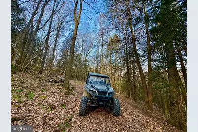 268 Wild Flower Way, Albright, WV 26519 - Photo 10