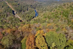 268 Wild Flower Way, Albright, WV 26519 - Photo 16