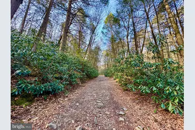 268 Wild Flower Way, Albright, WV 26519 - Photo 20