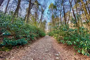 268 Wild Flower Way, Albright, WV 26519 - Photo 20