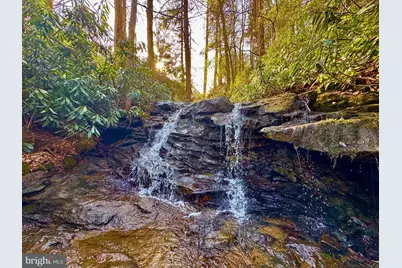 268 Wild Flower Way, Albright, WV 26519 - Photo 4