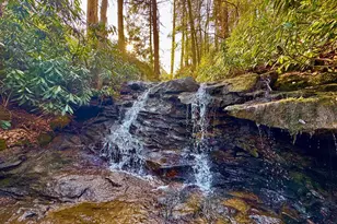 268 Wild Flower Way, Albright, WV 26519 - Photo 4