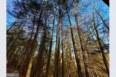 268 Wild Flower Way, Albright, WV 26519 - Photo 22