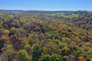 268 Wild Flower Way, Albright, WV 26519 - Photo 26