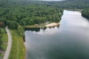 1218 E Alpine Dr, Terra Alta, WV 26764 - Photo 72