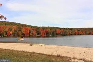 1218 E Alpine Dr, Terra Alta, WV 26764 - Photo 82