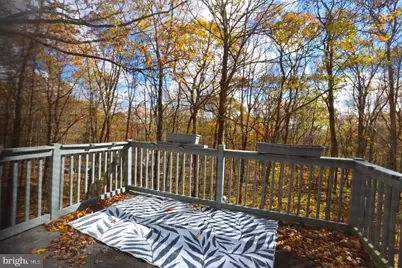 1218 E Alpine Drive, Terra Alta, WV 26764 - Photo 44