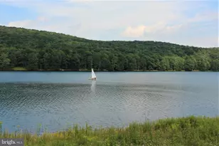 1218 E Alpine Dr, Terra Alta, WV 26764 - Photo 80