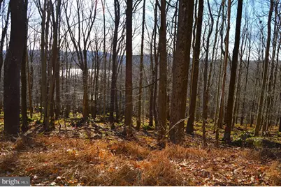 Lot 154 Daisy Drive, Terra Alta, WV 26764 - Photo 4