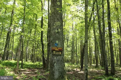 Lot 154 Daisy Drive, Terra Alta, WV 26764 - Photo 14