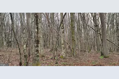 Camp Galilee Road, Terra Alta, WV 26764 - Photo 30