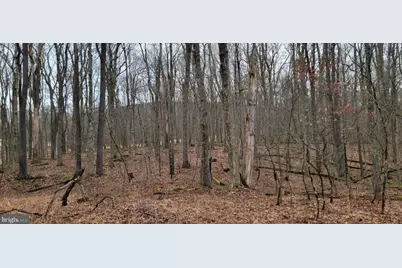 Camp Galilee Road, Terra Alta, WV 26764 - Photo 40