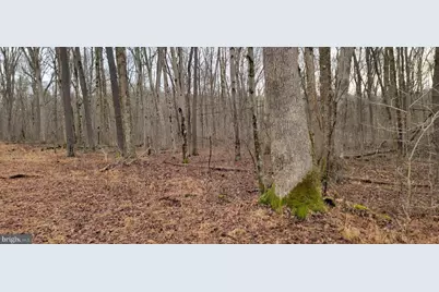 Camp Galilee Road, Terra Alta, WV 26764 - Photo 10