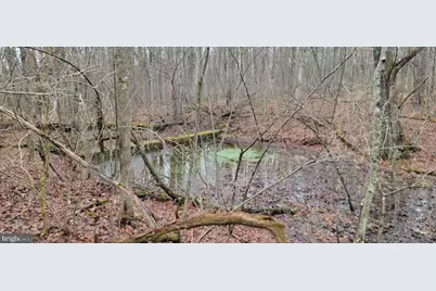 Camp Galilee Road, Terra Alta, WV 26764 - Photo 20