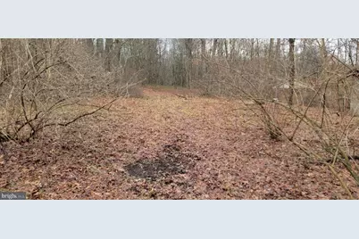 Camp Galilee Road, Terra Alta, WV 26764 - Photo 18