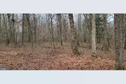 Camp Galilee Road, Terra Alta, WV 26764 - Photo 36