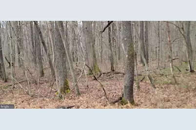 Camp Galilee Road, Terra Alta, WV 26764 - Photo 28