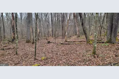 Camp Galilee Road, Terra Alta, WV 26764 - Photo 42