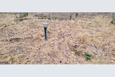 Camp Galilee Road, Terra Alta, WV 26764 - Photo 8