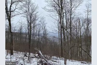Tbd Stemple Ridge Road, Aurora, WV 26705 - Photo 1