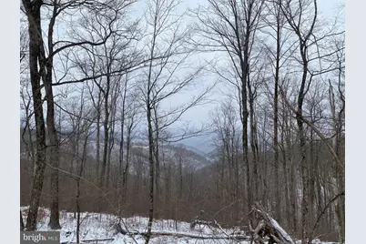 Tbd Stemple Ridge Road, Aurora, WV 26705 - Photo 2
