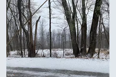 Tbd Stemple Ridge Road, Aurora, WV 26705 - Photo 10