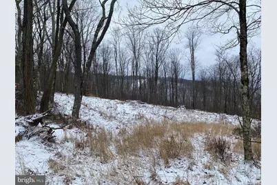 Tbd Stemple Ridge Road, Aurora, WV 26705 - Photo 4