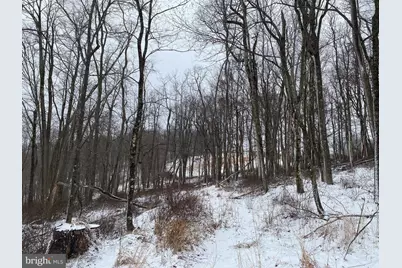 Tbd Stemple Ridge Road, Aurora, WV 26705 - Photo 14