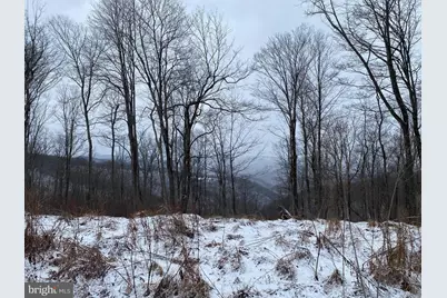 Tbd Stemple Ridge Road, Aurora, WV 26705 - Photo 6