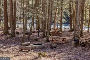 653 Watersound Trce, Bruceton Mills, WV 26525 - Photo 58