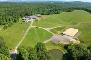 301 Dinkenberger Rd, Kingwood, WV 26537 - Photo 46