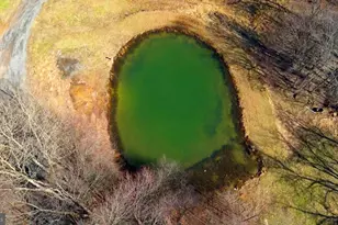 301 Dinkenberger Rd, Kingwood, WV 26537 - Photo 40