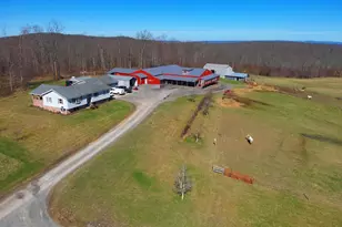 301 Dinkenberger Rd, Kingwood, WV 26537 - Photo 46