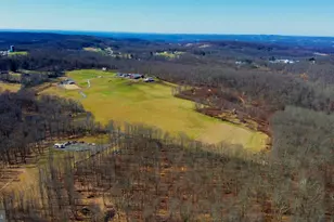 301 Dinkenberger Rd, Kingwood, WV 26537 - Photo 36